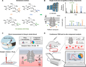 ACS Nano：活体血液药物的单分子连续监测